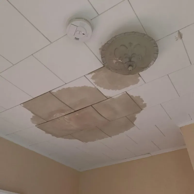 Ceiling Water Damage Repair in Benton County, TN