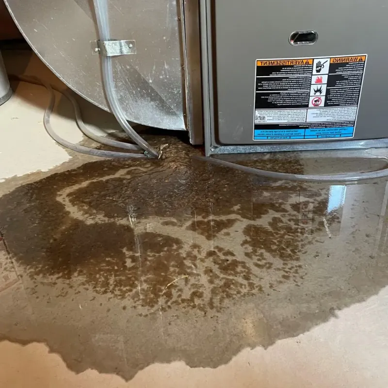 Pipe Burst and Leak Restoration in Benton County, TN