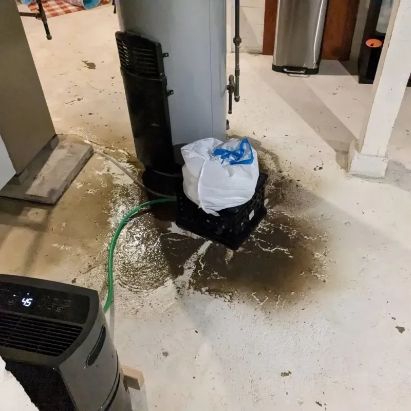 Sewage Backup Cleanup Service in Benton County, TN